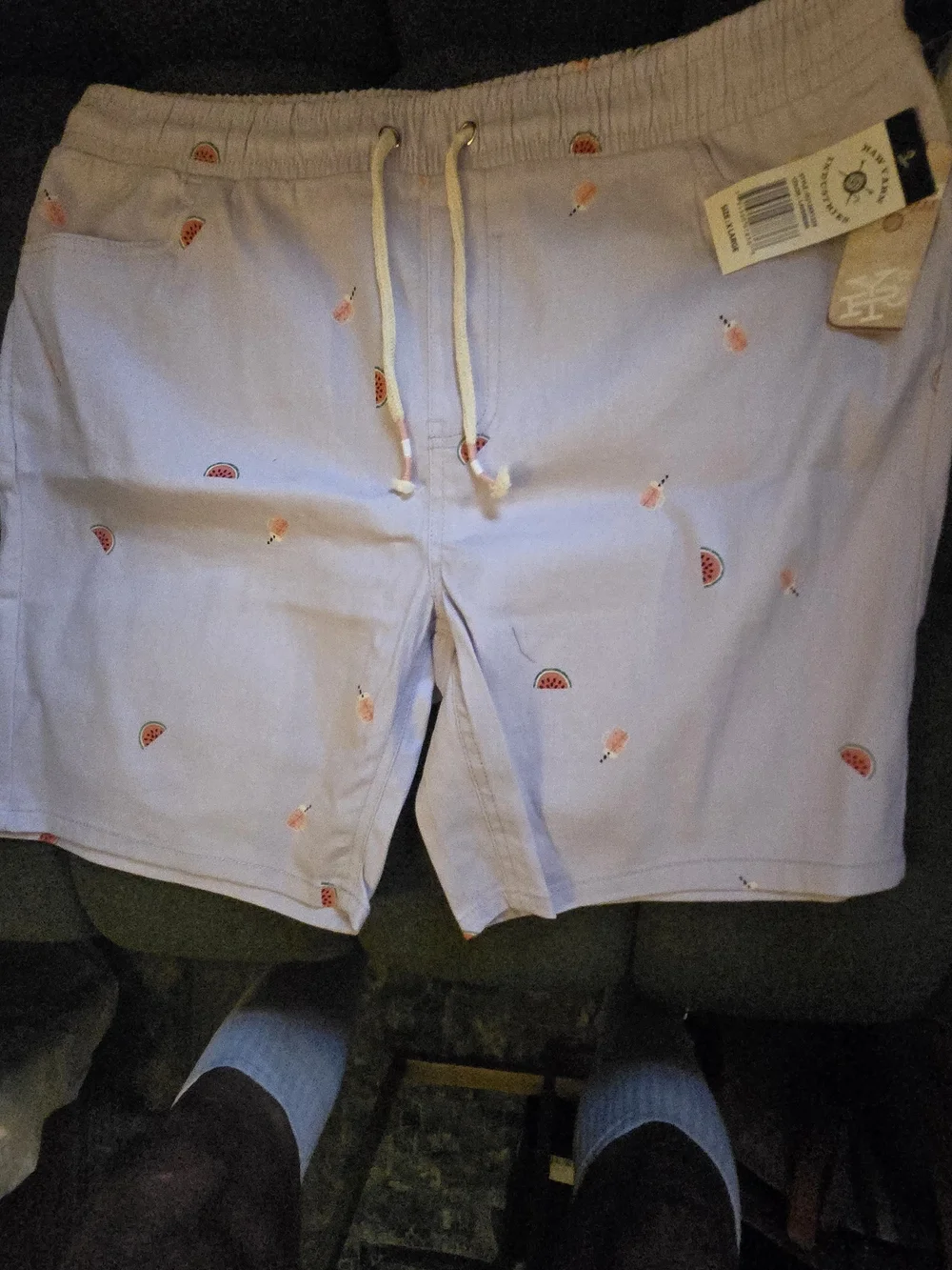 Men's Light Lavender Printed Drawstring Shorts